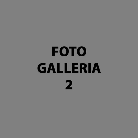 foto-gallery-2