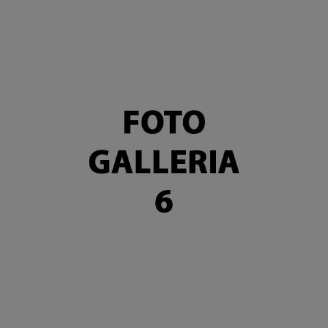foto-gallery-6